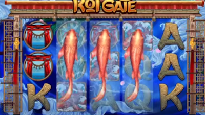 Contoh ikan Koi Gate jejer